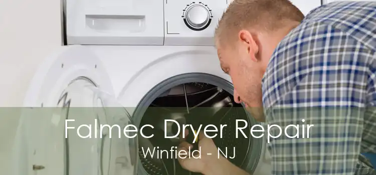 Falmec Dryer Repair Winfield - NJ