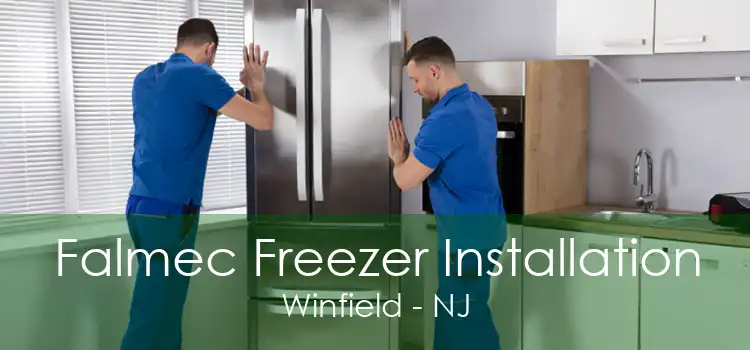 Falmec Freezer Installation Winfield - NJ