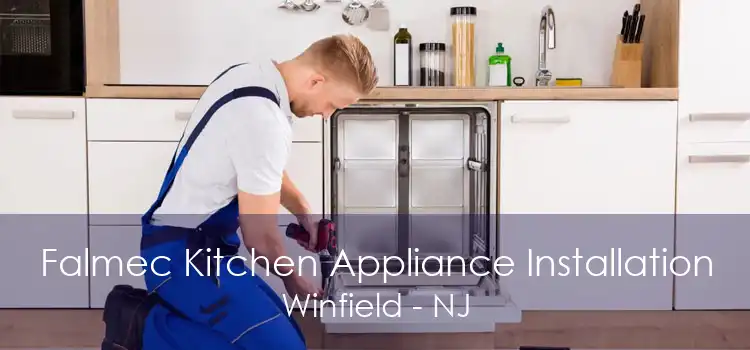 Falmec Kitchen Appliance Installation Winfield - NJ