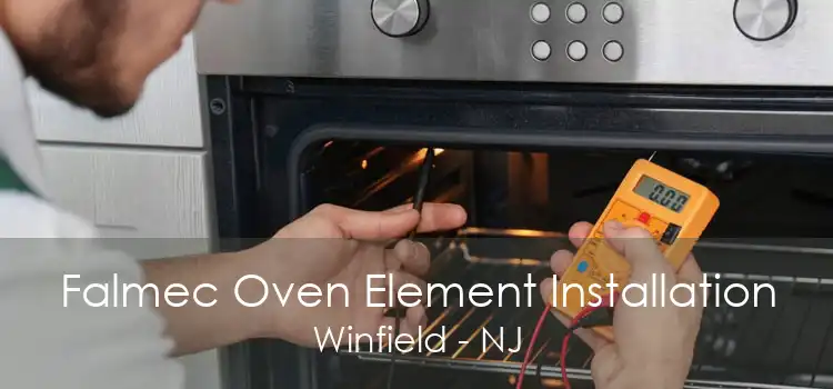Falmec Oven Element Installation Winfield - NJ