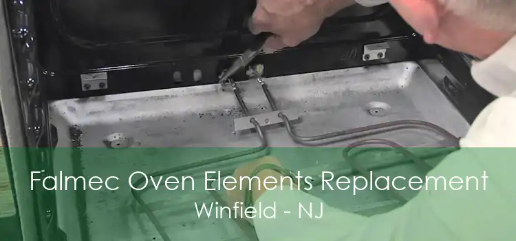 Falmec Oven Elements Replacement Winfield - NJ