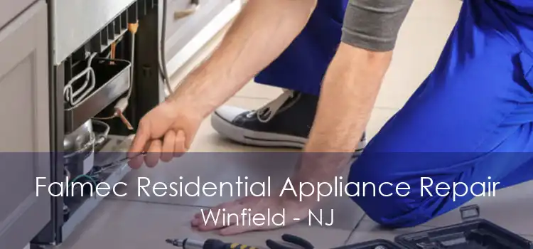 Falmec Residential Appliance Repair Winfield - NJ