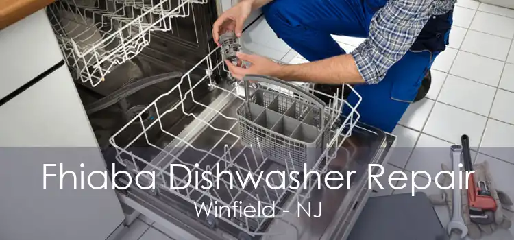 Fhiaba Dishwasher Repair Winfield - NJ
