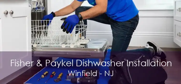 Fisher & Paykel Dishwasher Installation Winfield - NJ