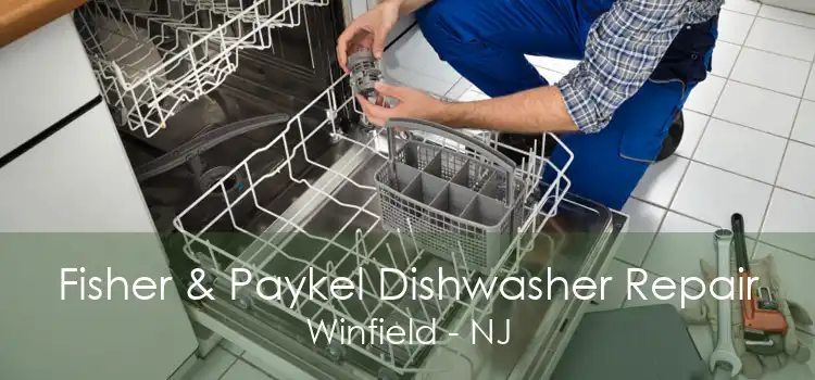 Fisher & Paykel Dishwasher Repair Winfield - NJ