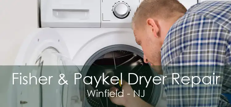 Fisher & Paykel Dryer Repair Winfield - NJ