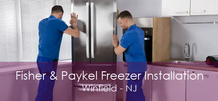 Fisher & Paykel Freezer Installation Winfield - NJ