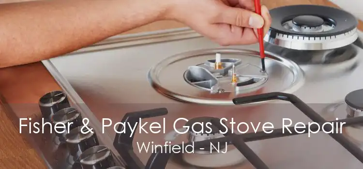 Fisher & Paykel Gas Stove Repair Winfield - NJ