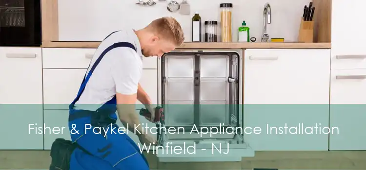 Fisher & Paykel Kitchen Appliance Installation Winfield - NJ