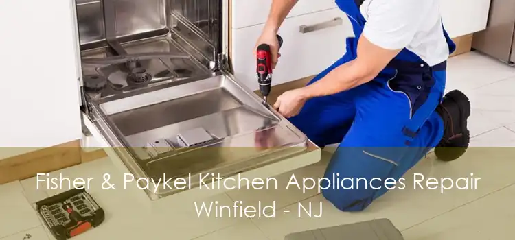 Fisher & Paykel Kitchen Appliances Repair Winfield - NJ