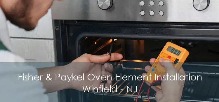 Fisher & Paykel Oven Element Installation Winfield - NJ
