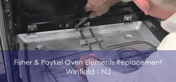 Fisher & Paykel Oven Elements Replacement Winfield - NJ