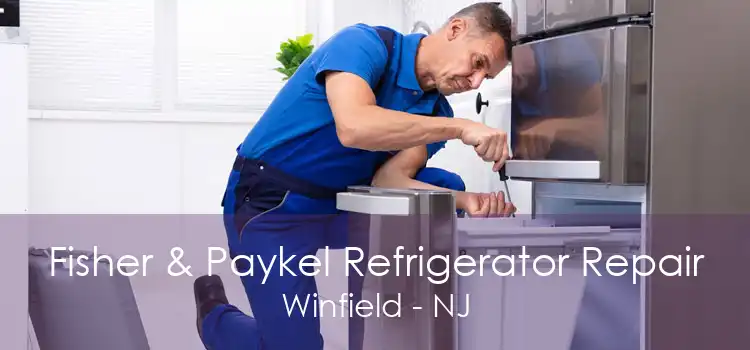 Fisher & Paykel Refrigerator Repair Winfield - NJ