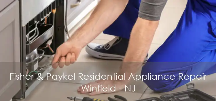 Fisher & Paykel Residential Appliance Repair Winfield - NJ