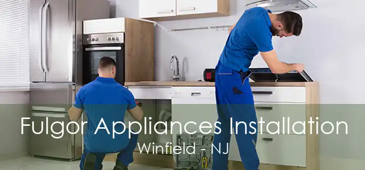 Fulgor Appliances Installation Winfield - NJ