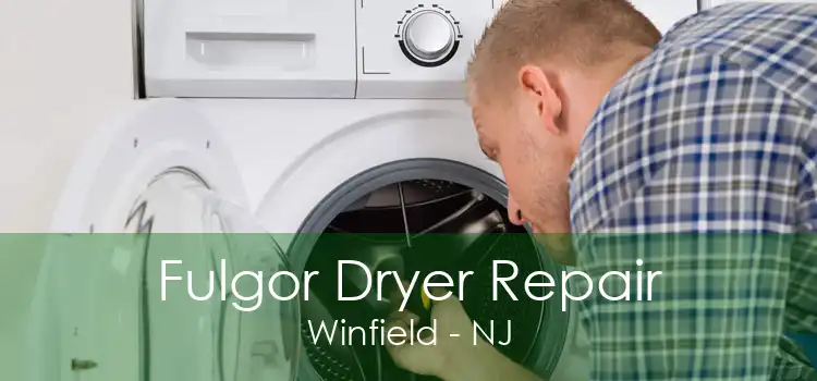Fulgor Dryer Repair Winfield - NJ