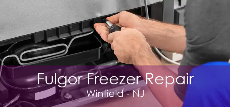 Fulgor Freezer Repair Winfield - NJ