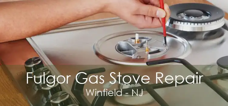 Fulgor Gas Stove Repair Winfield - NJ