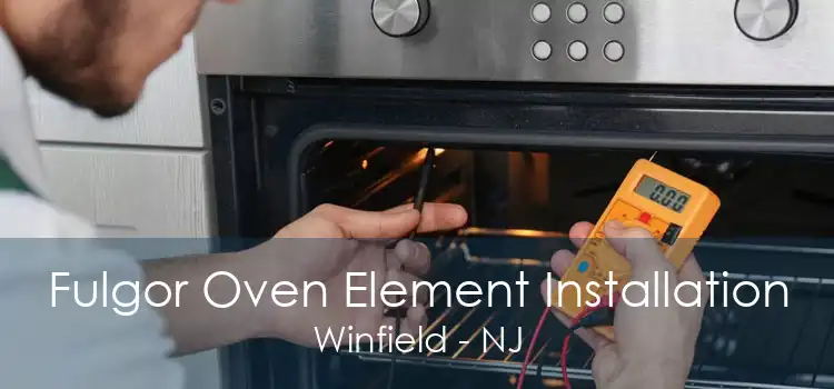 Fulgor Oven Element Installation Winfield - NJ