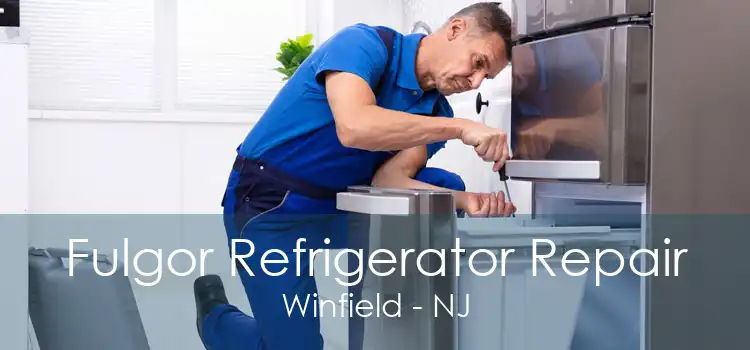 Fulgor Refrigerator Repair Winfield - NJ