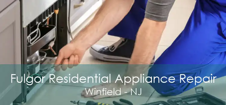 Fulgor Residential Appliance Repair Winfield - NJ