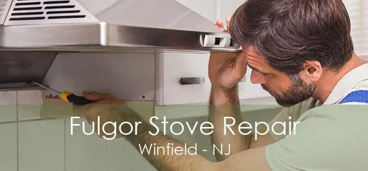 Fulgor Stove Repair Winfield - NJ
