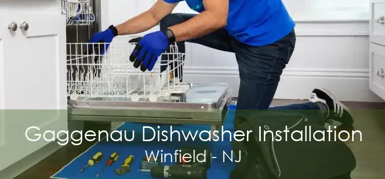 Gaggenau Dishwasher Installation Winfield - NJ