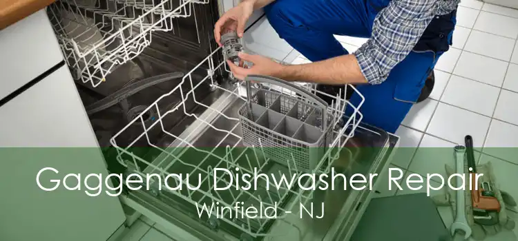 Gaggenau Dishwasher Repair Winfield - NJ