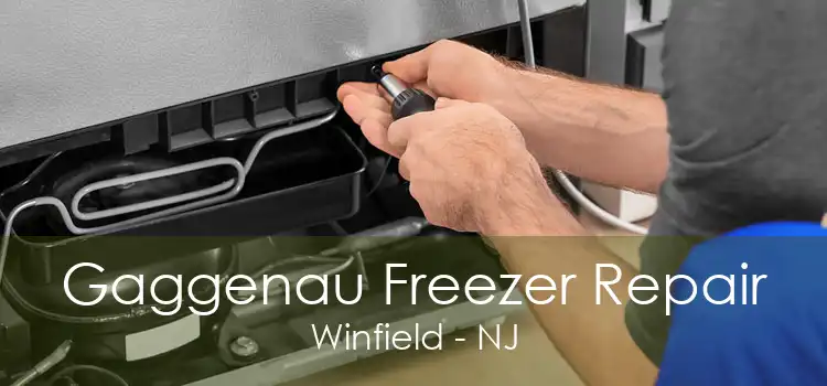 Gaggenau Freezer Repair Winfield - NJ