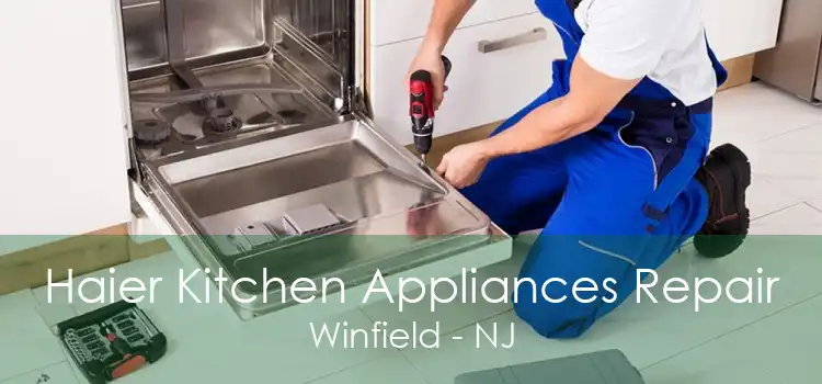 Haier Kitchen Appliances Repair Winfield - NJ