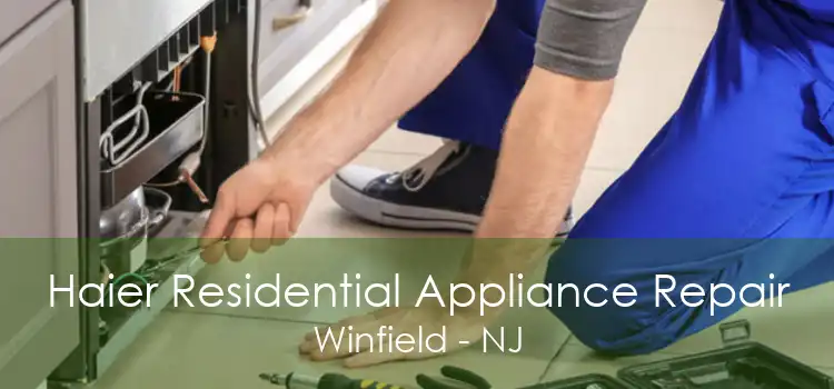 Haier Residential Appliance Repair Winfield - NJ