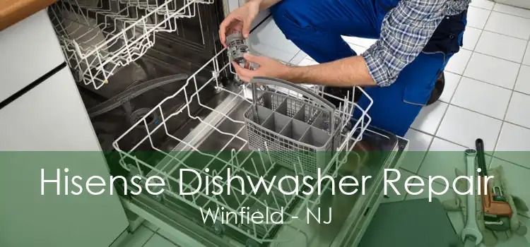 Hisense Dishwasher Repair Winfield - NJ