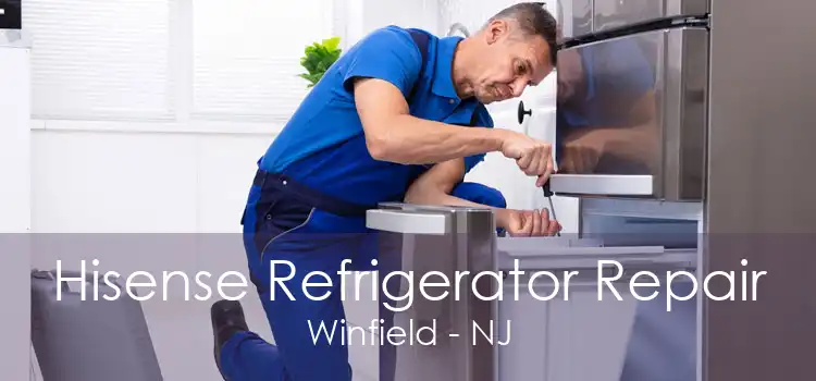 Hisense Refrigerator Repair Winfield - NJ