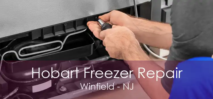 Hobart Freezer Repair Winfield - NJ