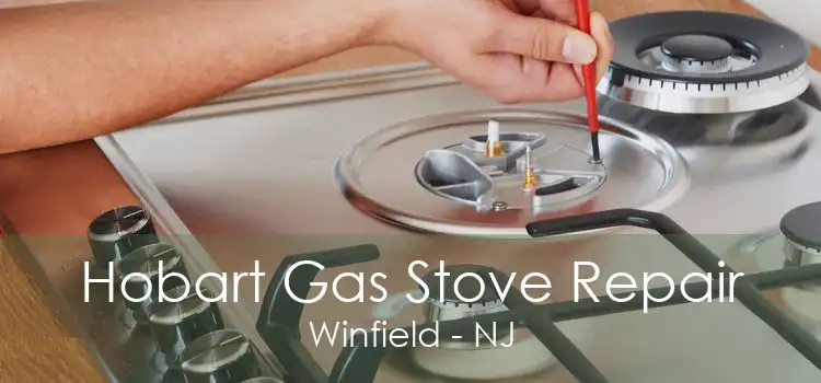 Hobart Gas Stove Repair Winfield - NJ