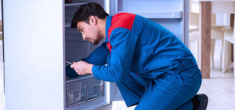 Freezer Repair Services in Winfield, New Jersey