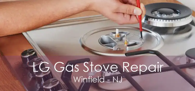 LG Gas Stove Repair Winfield - NJ