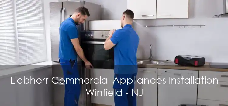 Liebherr Commercial Appliances Installation Winfield - NJ