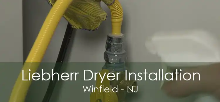 Liebherr Dryer Installation Winfield - NJ