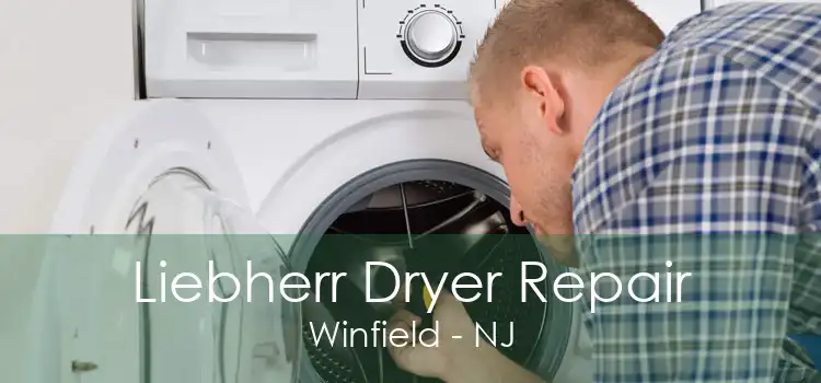 Liebherr Dryer Repair Winfield - NJ