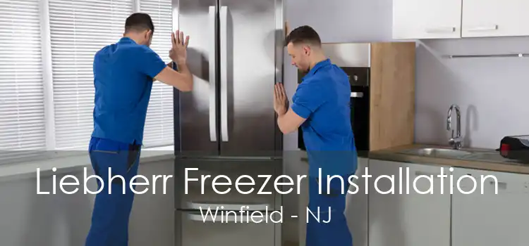 Liebherr Freezer Installation Winfield - NJ
