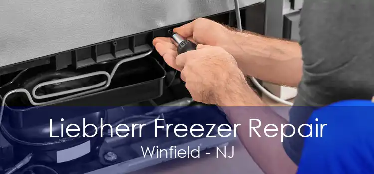 Liebherr Freezer Repair Winfield - NJ