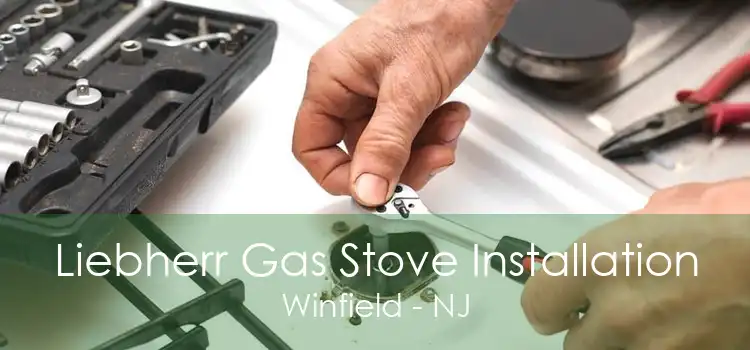 Liebherr Gas Stove Installation Winfield - NJ