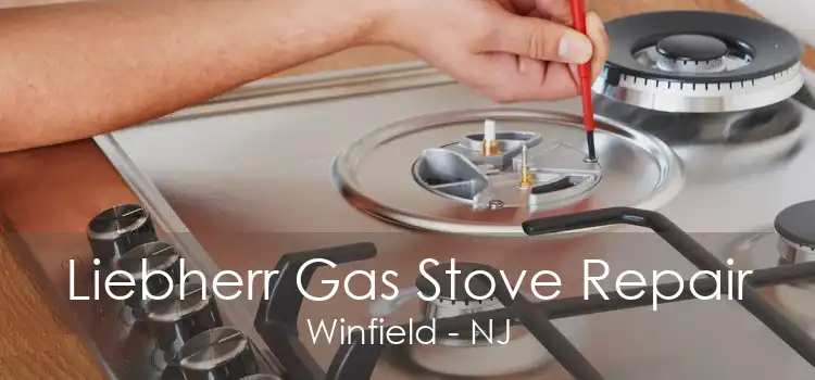Liebherr Gas Stove Repair Winfield - NJ