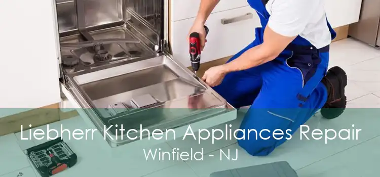 Liebherr Kitchen Appliances Repair Winfield - NJ