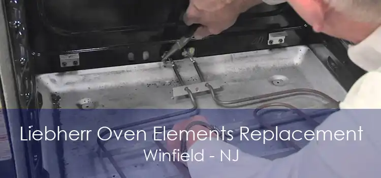 Liebherr Oven Elements Replacement Winfield - NJ