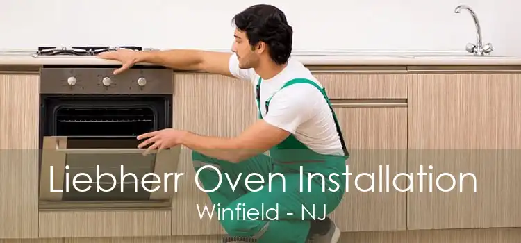 Liebherr Oven Installation Winfield - NJ