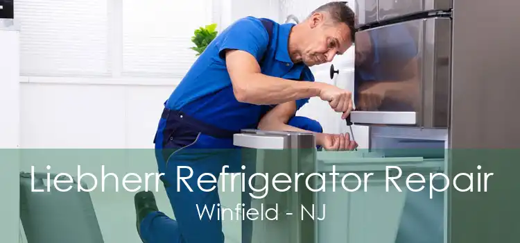 Liebherr Refrigerator Repair Winfield - NJ