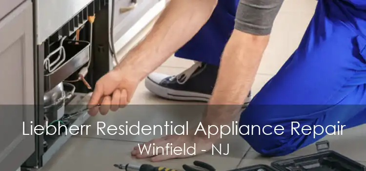 Liebherr Residential Appliance Repair Winfield - NJ