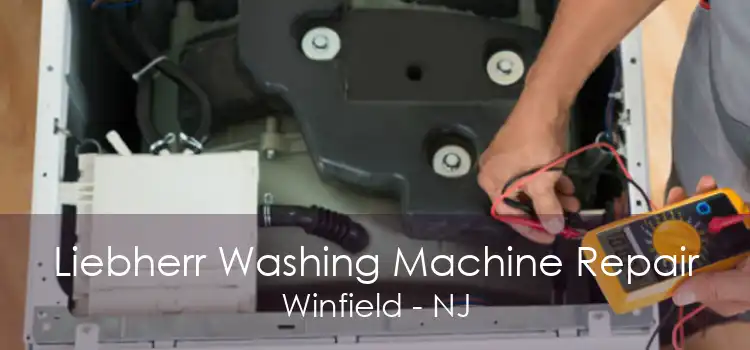 Liebherr Washing Machine Repair Winfield - NJ